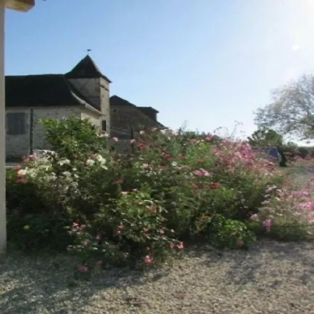 House Les Vignes Grandes *